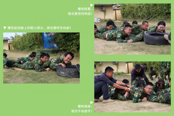 平博pinnacle新能源_厚积薄发_赢胜2021(图8)