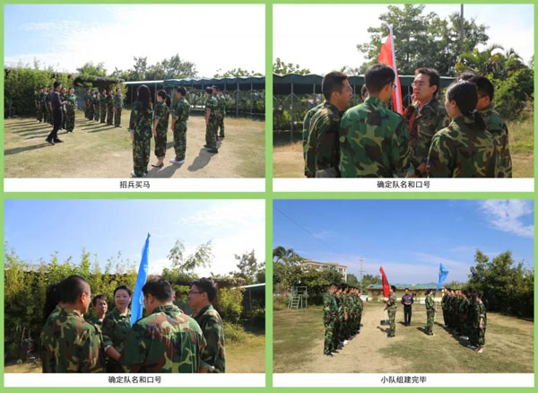 平博pinnacle新能源_厚积薄发_赢胜2021(图4)