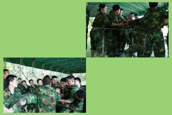 平博pinnacle新能源_厚积薄发_赢胜2021(图11)