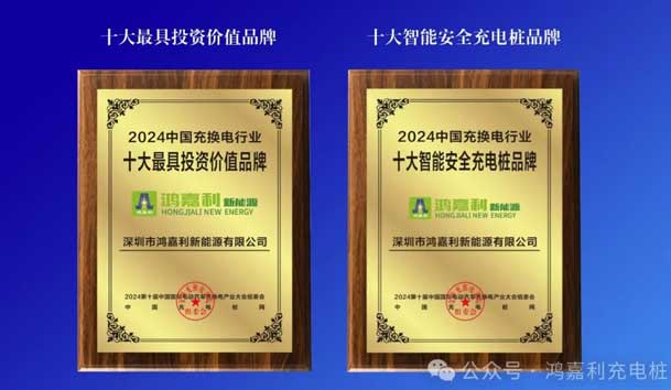 匠心致远，载誉前行：2024年平博pinnacle新能源荣获充换电十大品牌奖！(图5)