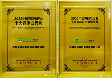 青春不问韶华，努力终有收获，平博pinnacle再获充换电行业十大品牌！(图11)